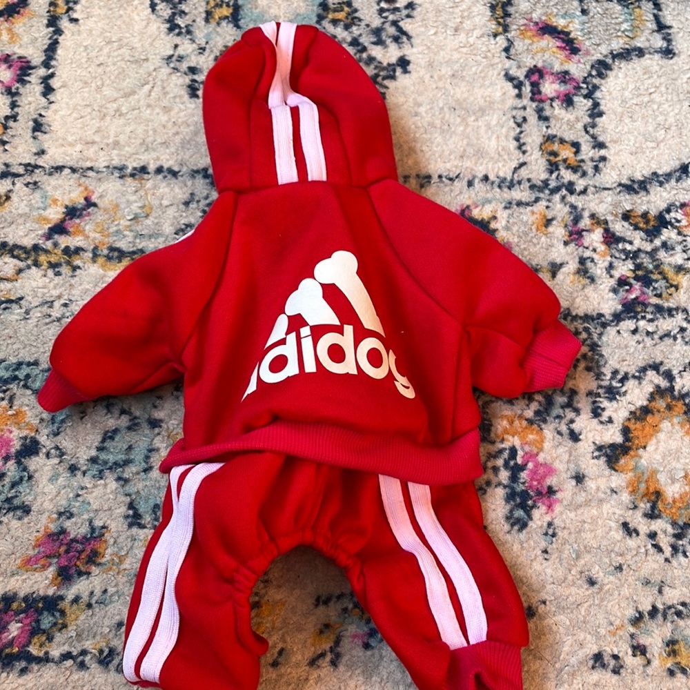 Xs adidog red and white pet tracksuit so cute worn once
